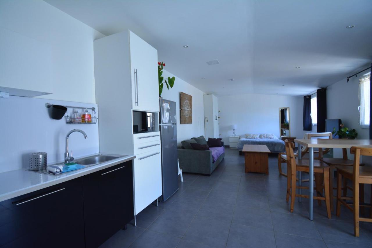 Grand Studio Independant Avec Jardin Goussainville  Εξωτερικό φωτογραφία